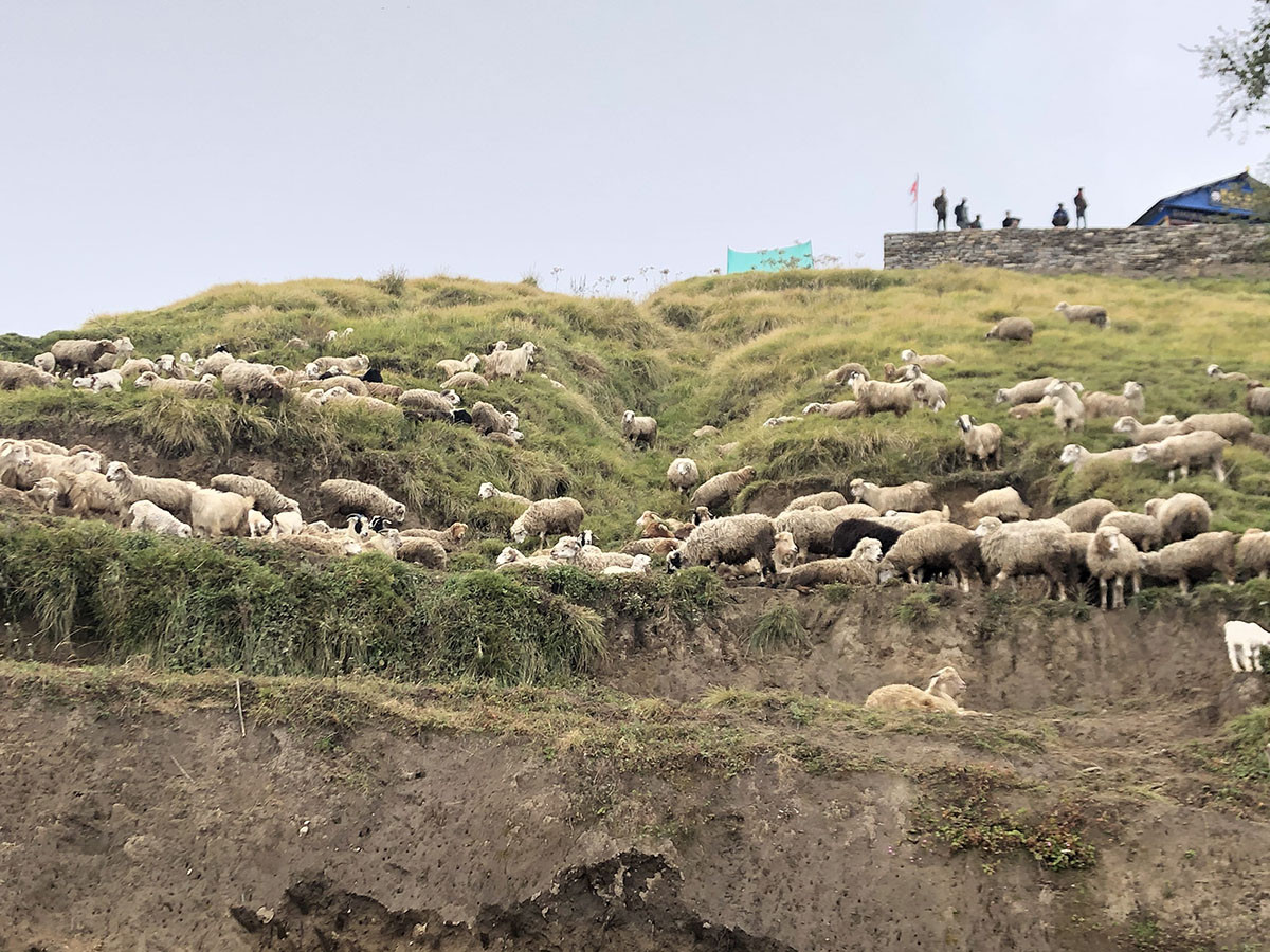 https://raracms.setopati.com/uploads/shares/2020/sujita/mardi trek/mardi (1).jpg